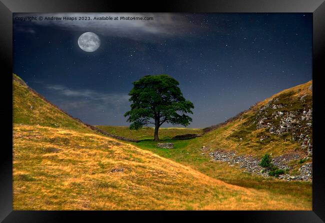 Moonlit Sycamore gap tree in moon light. Framed Print by Andrew Heaps