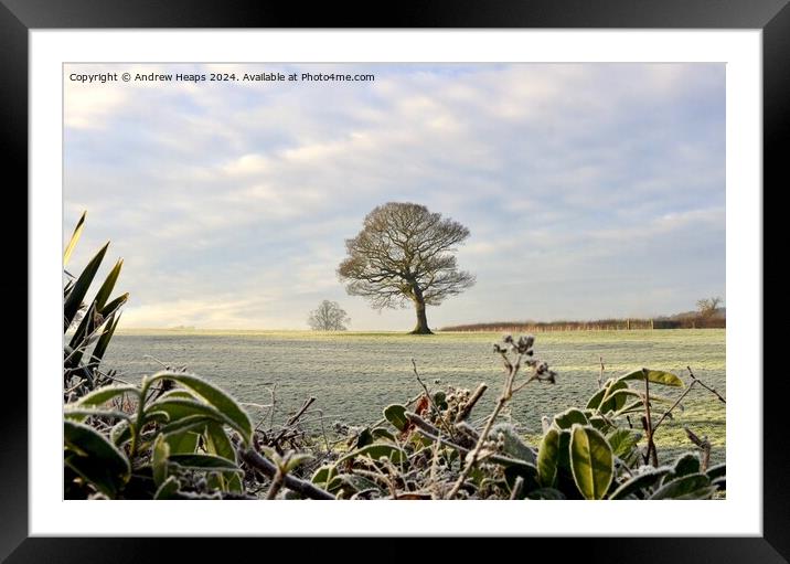 Winter frosty scene in morning. Framed Mounted Print by Andrew Heaps