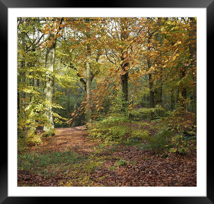  If you go down in the woods today Enchanting Autu Framed Mounted Print by Andrew Heaps