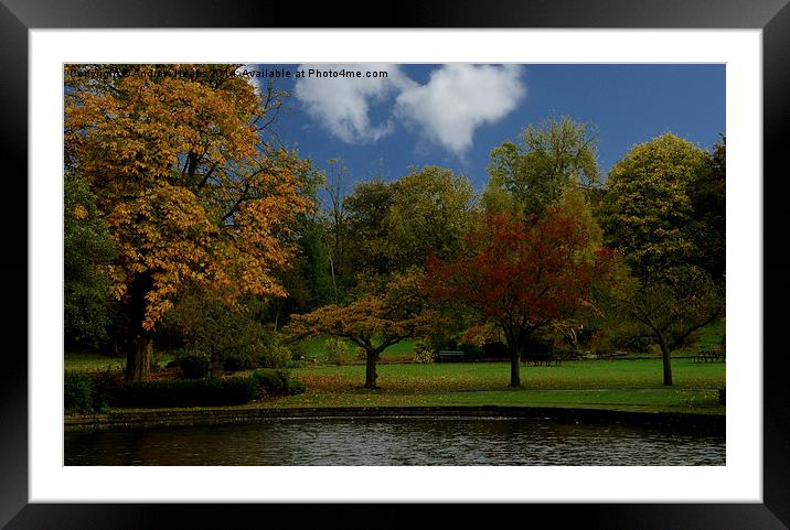  Autumnal Colours Framed Mounted Print by Andrew Heaps