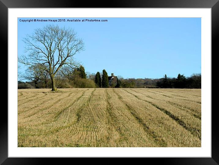 Straight lines in crop field. Framed Mounted Print by Andrew Heaps