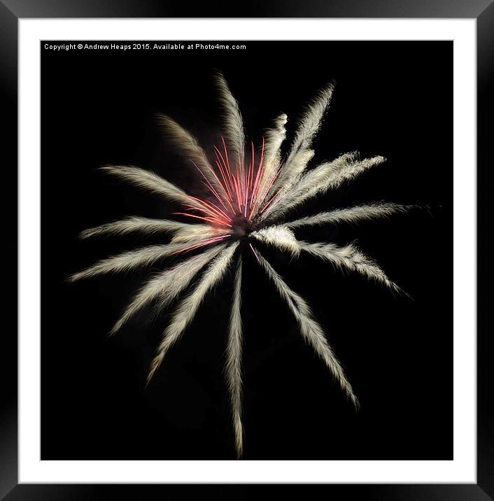  Trentham Gardens Firewworks Framed Mounted Print by Andrew Heaps
