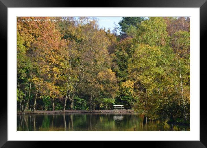 Autumn Scene Framed Mounted Print by Andrew Heaps
