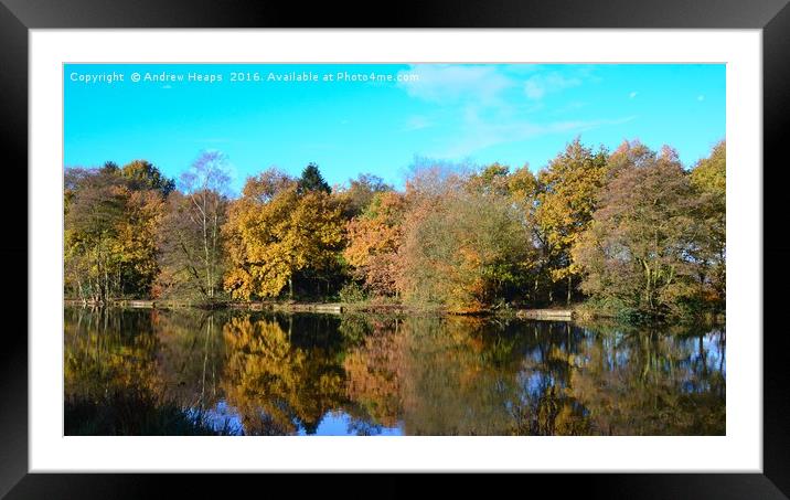 Reflections Framed Mounted Print by Andrew Heaps