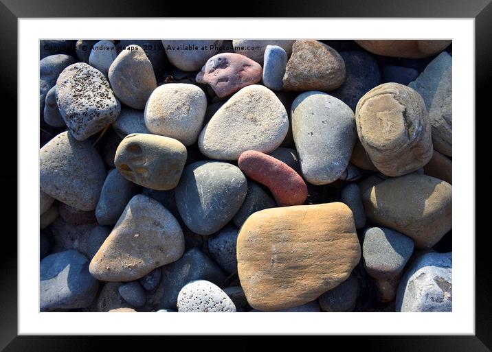 Beach Stones Framed Mounted Print by Andrew Heaps