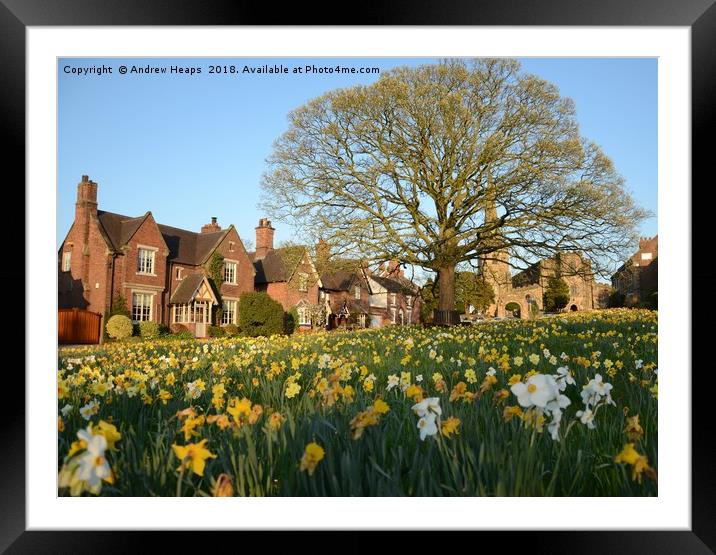 Astbury Church on a spring day   Framed Mounted Print by Andrew Heaps
