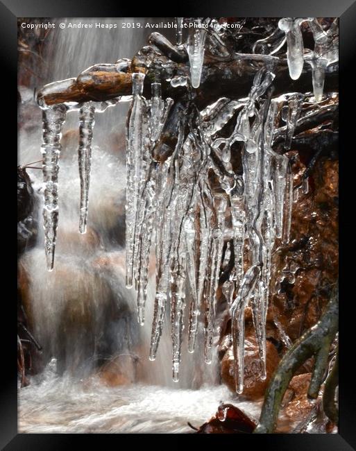 Natures Dripping Jewels Framed Print by Andrew Heaps