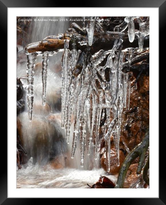 Natures Dripping Jewels Framed Mounted Print by Andrew Heaps