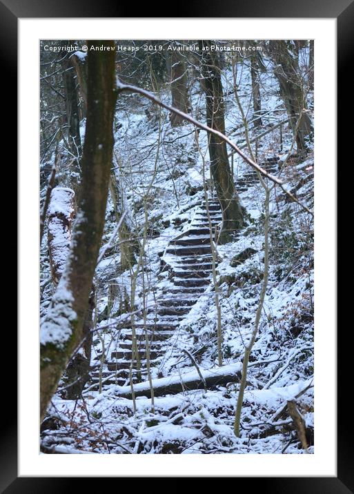 Snowy steps at country park. Framed Mounted Print by Andrew Heaps