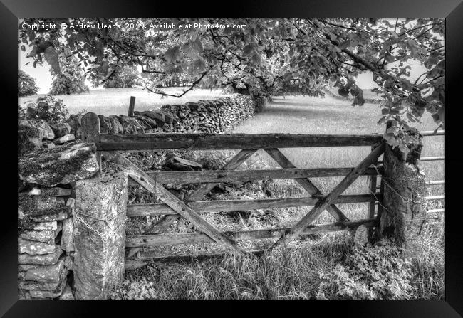 Farmers wooden gate. Framed Print by Andrew Heaps