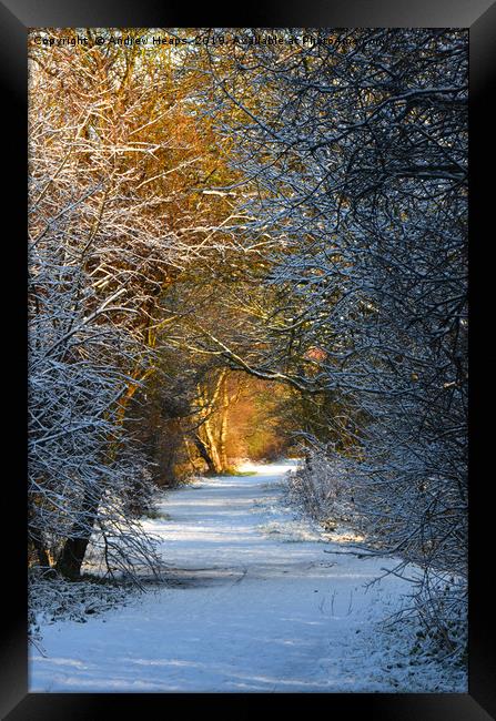 Walking down local disused railway line track  Framed Print by Andrew Heaps