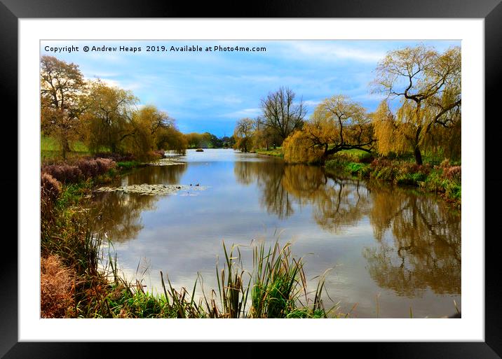 Reflections from river bank side   Framed Mounted Print by Andrew Heaps