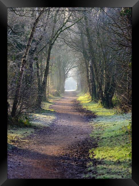 Spooky/misty disused railway line in autumn Framed Print by Andrew Heaps