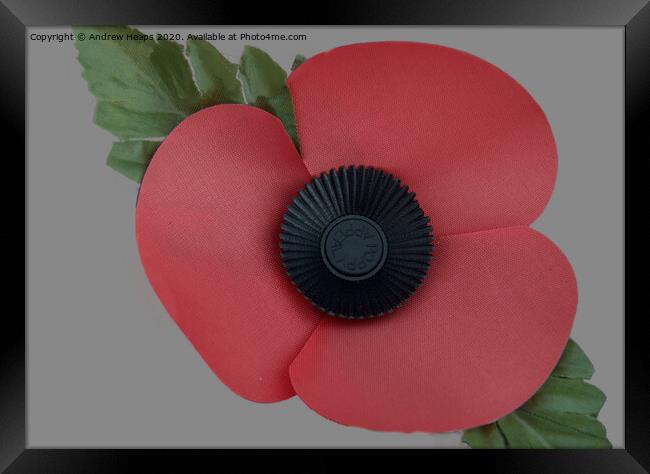 A single poppy a symbol of remembrance .  Framed Print by Andrew Heaps