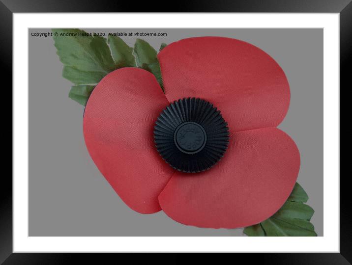 A single poppy a symbol of remembrance .  Framed Mounted Print by Andrew Heaps