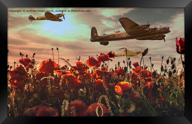 Wartime flight over poppies Spitfire & Lancaster b Framed Print by Andrew Heaps