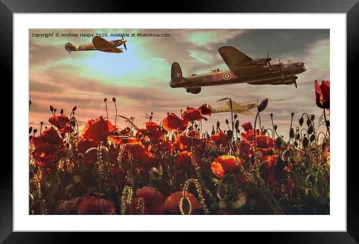 Wartime flight over poppies Spitfire & Lancaster b Framed Mounted Print by Andrew Heaps