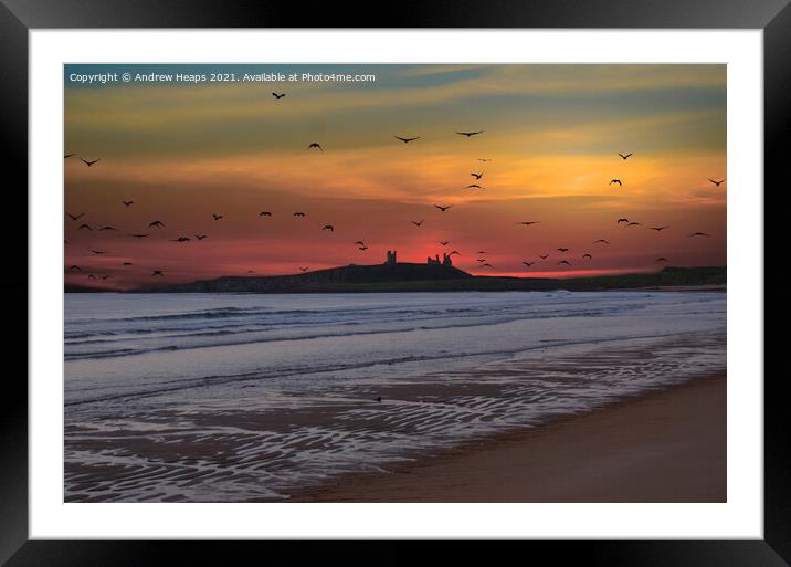 Sunset looking to Dunstanburgh Castle Framed Mounted Print by Andrew Heaps