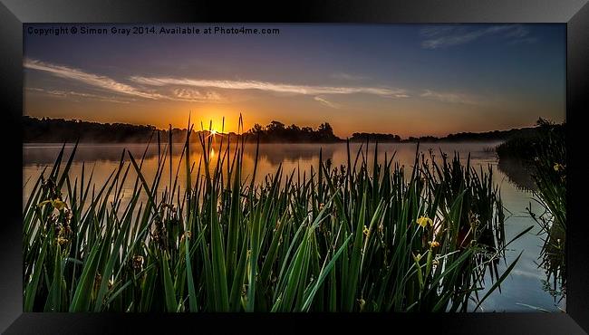  Whitlingham Sunrise Framed Print by Simon Gray