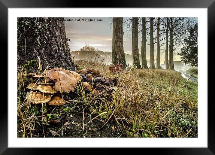  Misty Morning Framed Mounted Print by Simon Gray