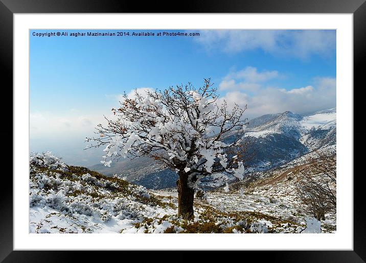  Decorated with frozen snow, Framed Mounted Print by Ali asghar Mazinanian