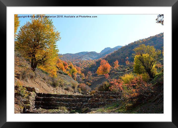 Autumn beauty in OLANG jungle, Framed Mounted Print by Ali asghar Mazinanian