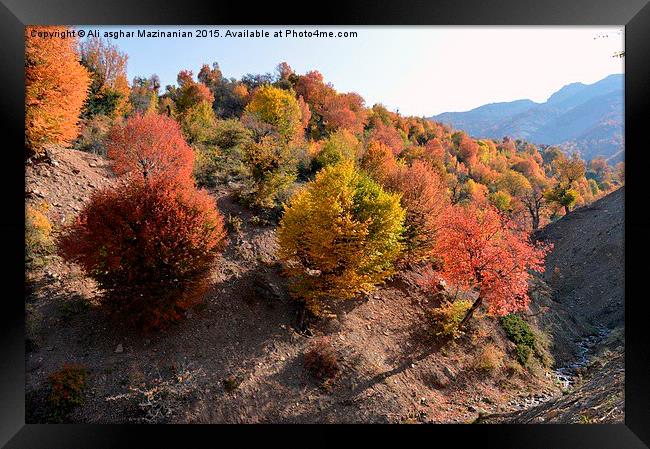  Autumn colors, Framed Print by Ali asghar Mazinanian