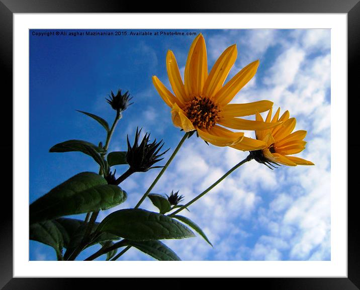  In the cloudy sky, Framed Mounted Print by Ali asghar Mazinanian