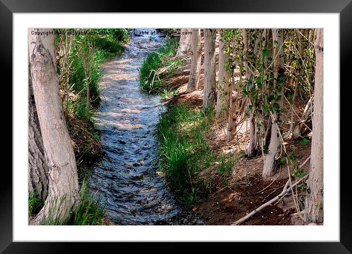 A stream of clean water in the village, Framed Mounted Print by Ali asghar Mazinanian