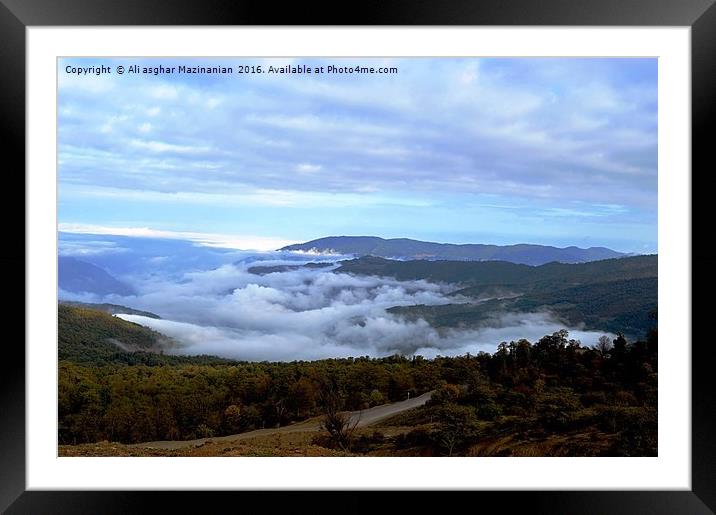 Foggy day in jungle, Framed Mounted Print by Ali asghar Mazinanian