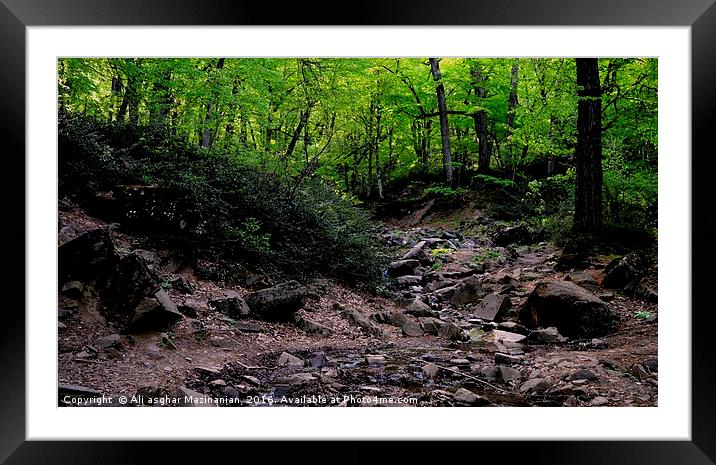 A misty day in jungle, Framed Mounted Print by Ali asghar Mazinanian