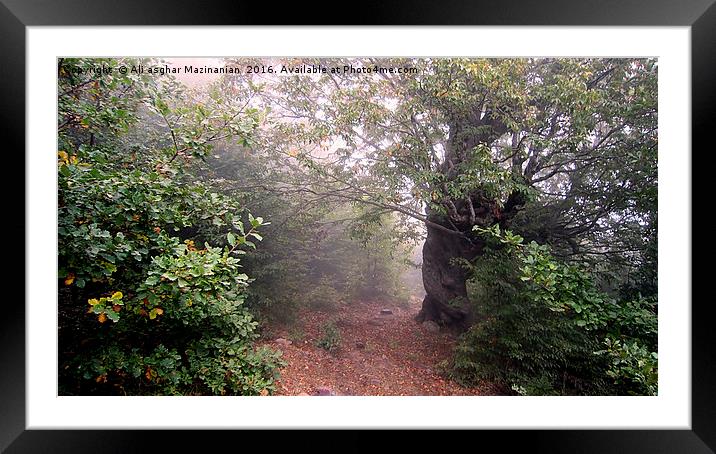 A nice view of Autumn in jungle 3, Framed Mounted Print by Ali asghar Mazinanian