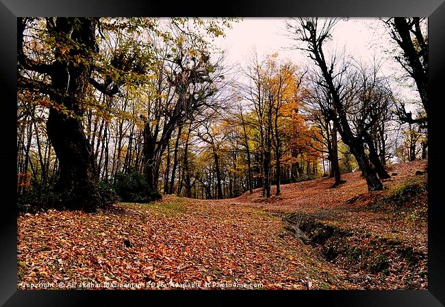 A nice view of Autumn in jungle, Framed Print by Ali asghar Mazinanian