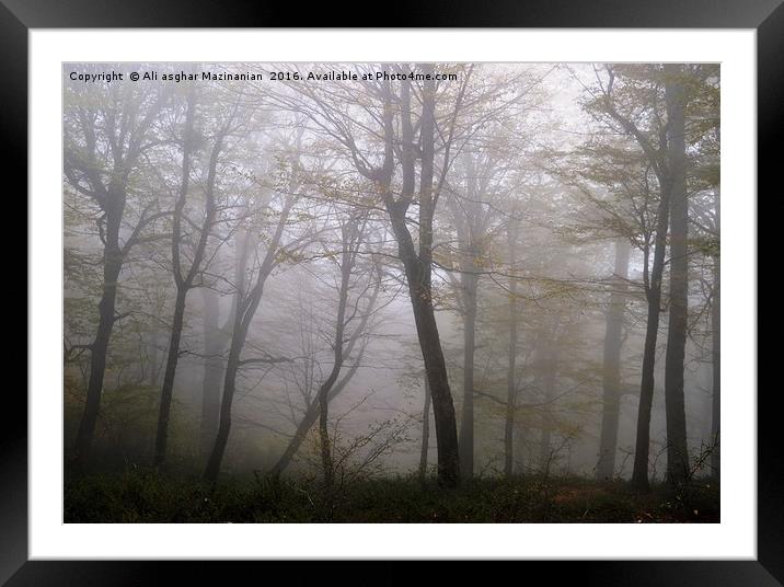 Trees on a misty day (Revised) Framed Mounted Print by Ali asghar Mazinanian