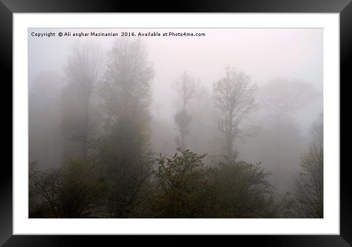 A fogy misty day in jungle, Framed Mounted Print by Ali asghar Mazinanian