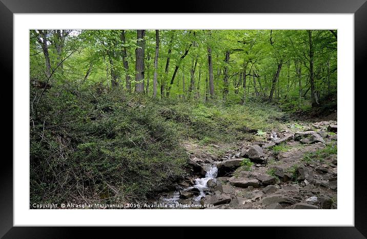 A small river covered with tall trees, Framed Mounted Print by Ali asghar Mazinanian