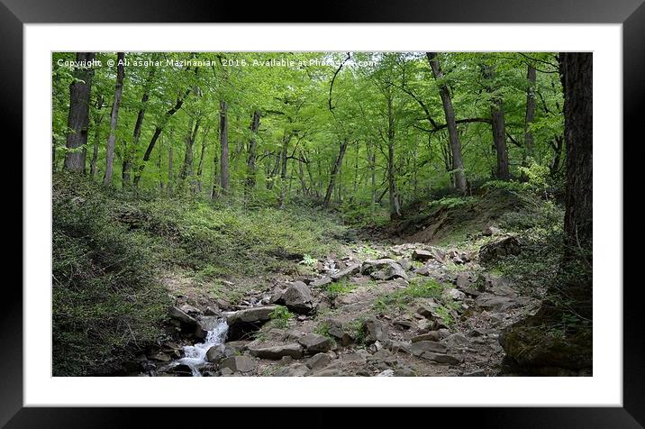 A nice tranquil place in jungle, Framed Mounted Print by Ali asghar Mazinanian