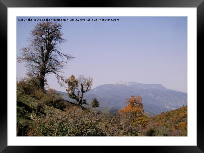 The beauty of Autumn in jungle 3, Framed Mounted Print by Ali asghar Mazinanian