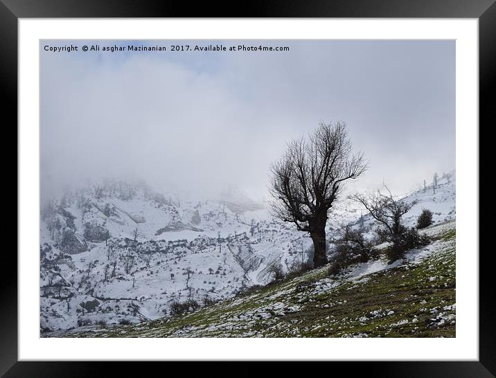 On a snowy day, Framed Mounted Print by Ali asghar Mazinanian