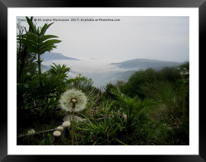 A nice view of fog in  in jungle 2, Framed Mounted Print by Ali asghar Mazinanian