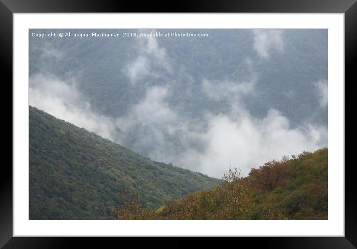 ABR jungle, Framed Mounted Print by Ali asghar Mazinanian