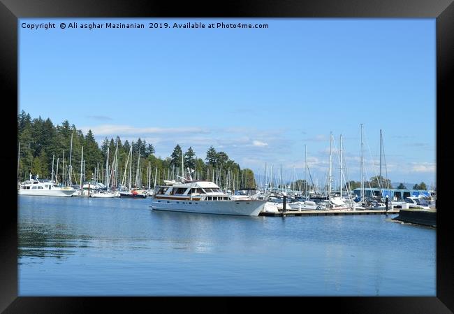 A nice place in Stanley Park,Canada, Framed Print by Ali asghar Mazinanian