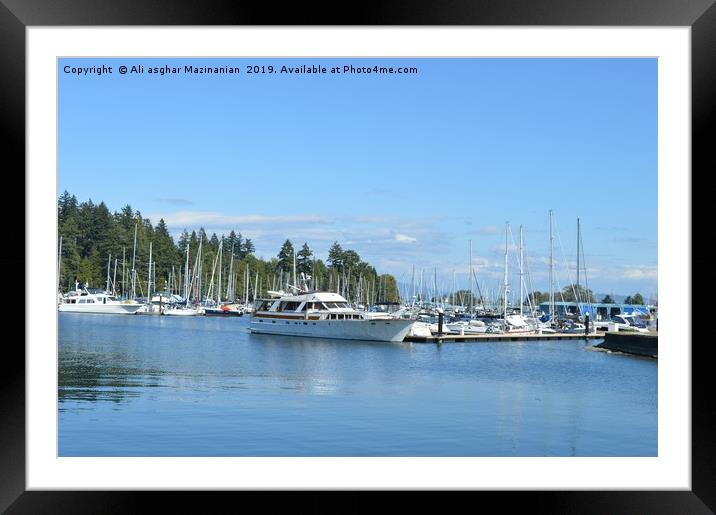 A nice place in Stanley Park,Canada, Framed Mounted Print by Ali asghar Mazinanian