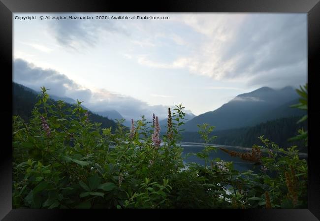 A very nice place Taken at Cleveland Dam,Vancouver Framed Print by Ali asghar Mazinanian