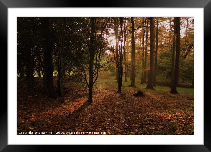 Autumn Woodland Framed Mounted Print by Simon Hall