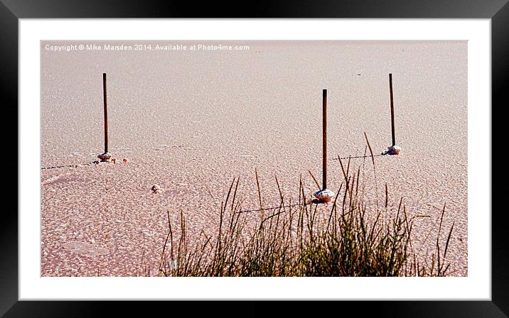 Pink Sea Salt Lake  Framed Mounted Print by Mike Marsden