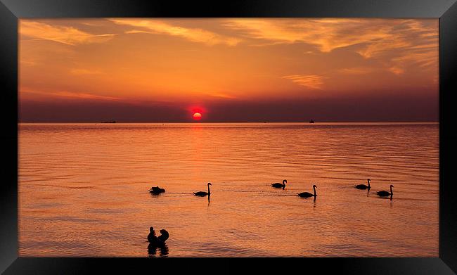  Baltic coast at sunset! Framed Print by Inguna Plume