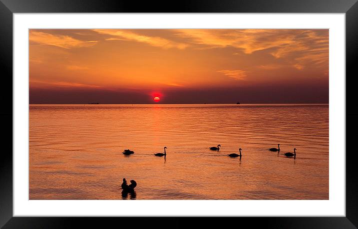  Baltic coast at sunset! Framed Mounted Print by Inguna Plume