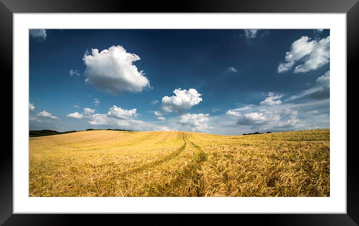 Wheat field! Framed Mounted Print by Inguna Plume