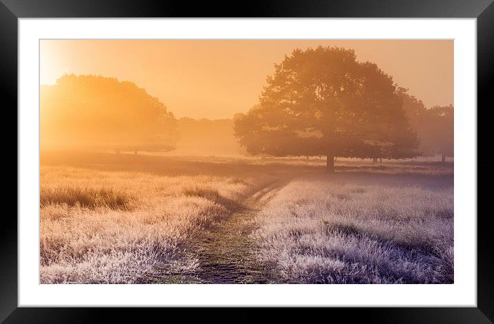  Foggy meadow at sunrise Framed Mounted Print by Inguna Plume